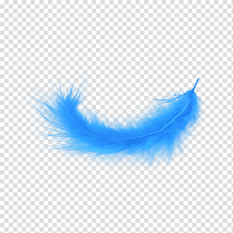Eye, Feather, Drawing, Blue, Quill, Bluegreen, Feather, Eyelash transparent background PNG clipart