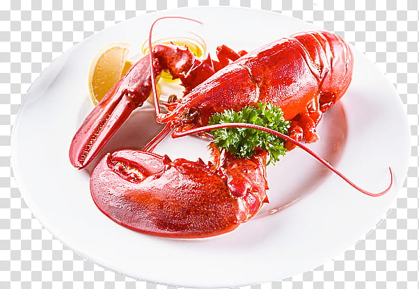 food lobster dish cuisine ingredient, Homarus, Spiny Lobster, Seafood, American Lobster, Garnish transparent background PNG clipart