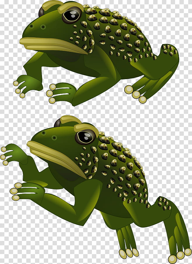 Pond, Toad, Frog, Amphibians, Tree Frog, Sprite, Computer Graphics, Twodimensional Space transparent background PNG clipart