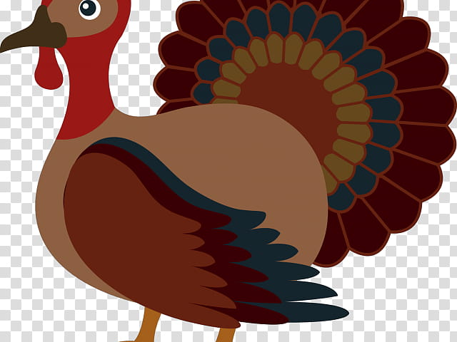 Thanksgiving Turkey, Turkey Meat, Wild Turkey, Food, Presentation, Document, Bird, Beak transparent background PNG clipart