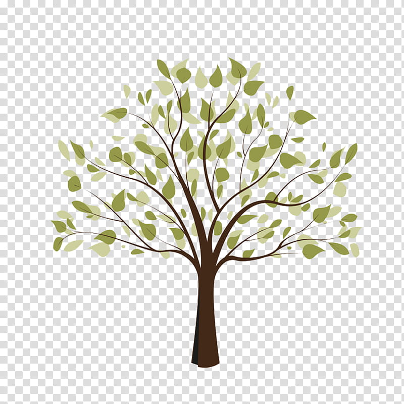 Oak Tree Leaf, Genealogy, Ancestry, Family, Your Family Tree, Book, Branch, Green transparent background PNG clipart