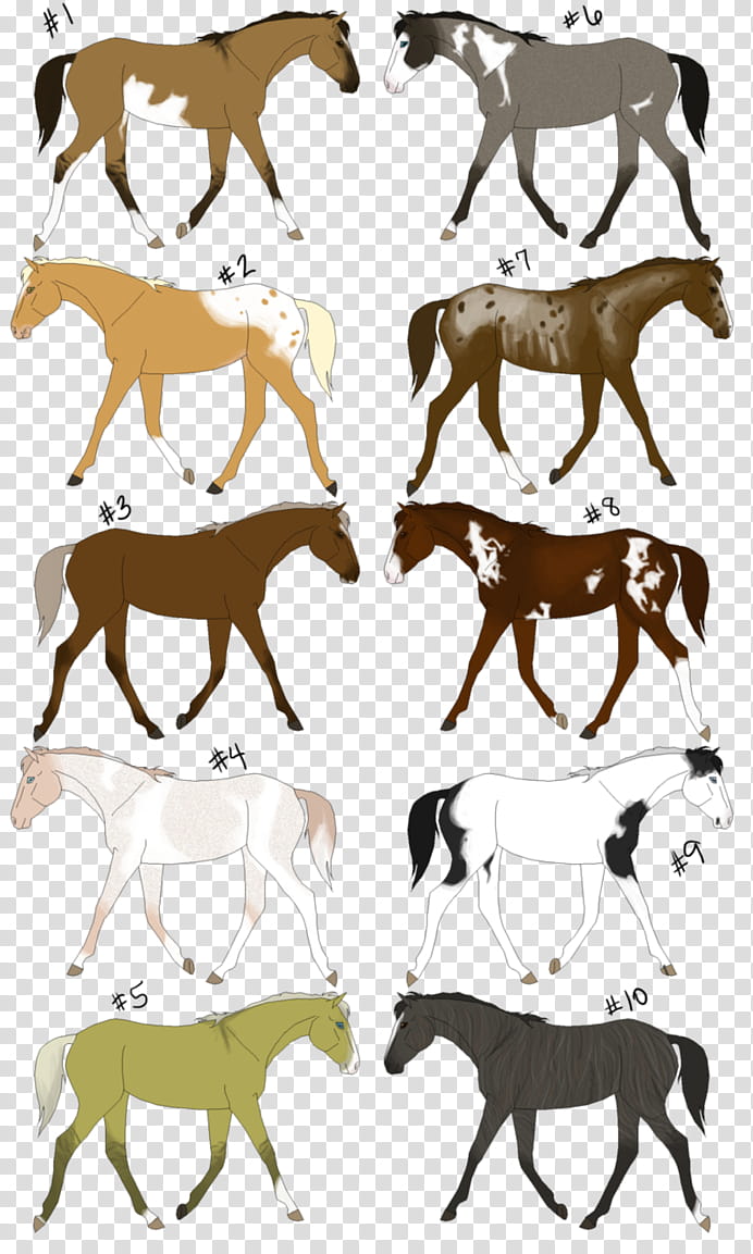 Animal, Mustang, Reindeer, Dog, Cattle, Auction, Antelope, October 21 transparent background PNG clipart