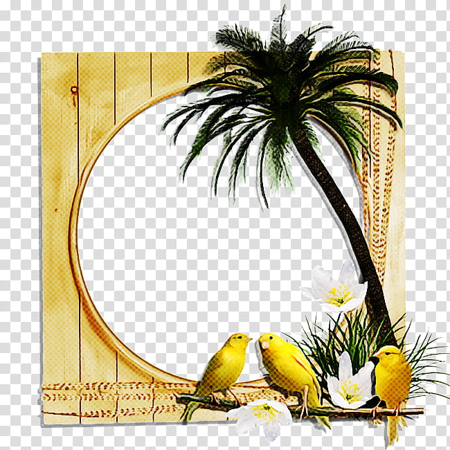 Coconut Tree, Pineapple, Banana, Date Palm, Frames, Rectangle, Yellow, Flower transparent background PNG clipart