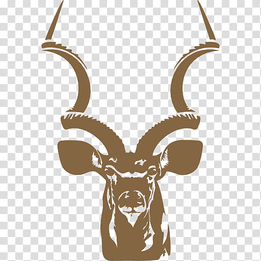 graphy Logo, Kudu, Antelope, Horn, Antler, Deer, Wildlife, Cowgoat Family transparent background PNG clipart