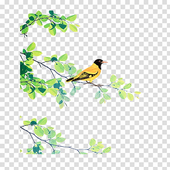 Watercolor Flower, Chunfen, Poster, Drawing, Watercolor Painting, Qixi Festival, Bird, Branch transparent background PNG clipart