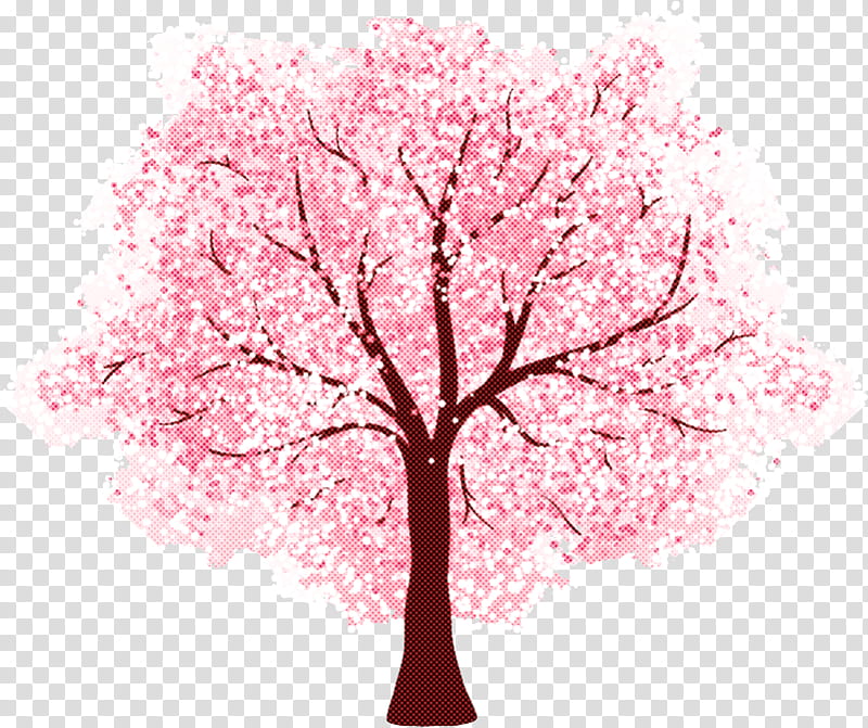 Cherry blossom, Tree, Plant, Pink, Flower, Woody Plant, Spring
, Branch transparent background PNG clipart