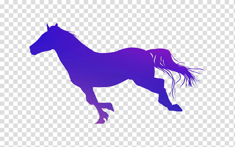 Horse, Stable, Mustang, Stallion, Round Pen, Equestrian, Blog, Text transparent background PNG clipart