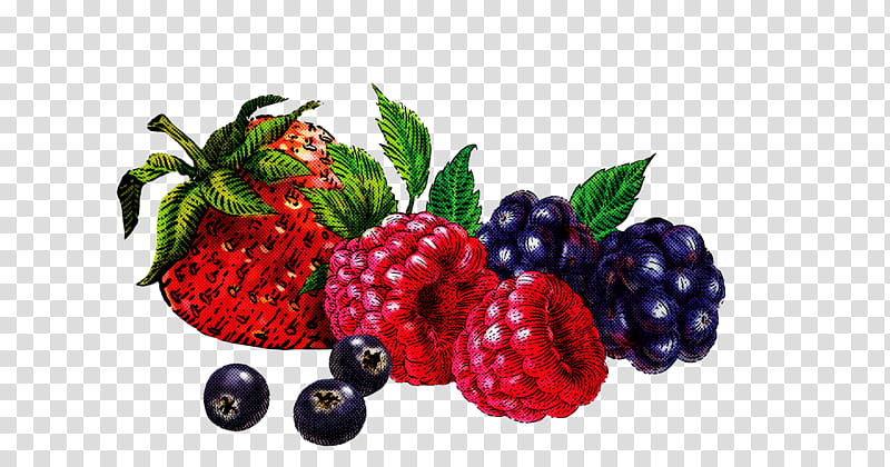 Strawberry, Natural Foods, Fruit, Blackberry, Frutti Di Bosco, Rubus, Superfood, Plant transparent background PNG clipart