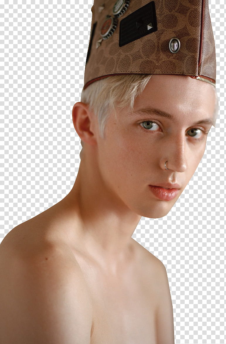 TROYE SIVAN transparent background PNG clipart