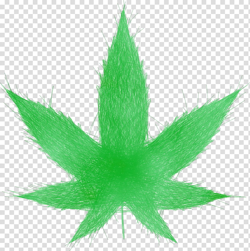 Cannabis Leaf, Watercolor, Paint, Wet Ink, Cannabis Sativa, Cannabis In Papua New Guinea, Kush, 420 Day transparent background PNG clipart