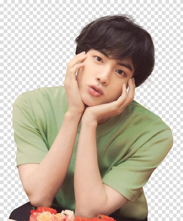 BTS LOVE YOURSELF WORLD TOUR IN JAPAN transparent background PNG clipart