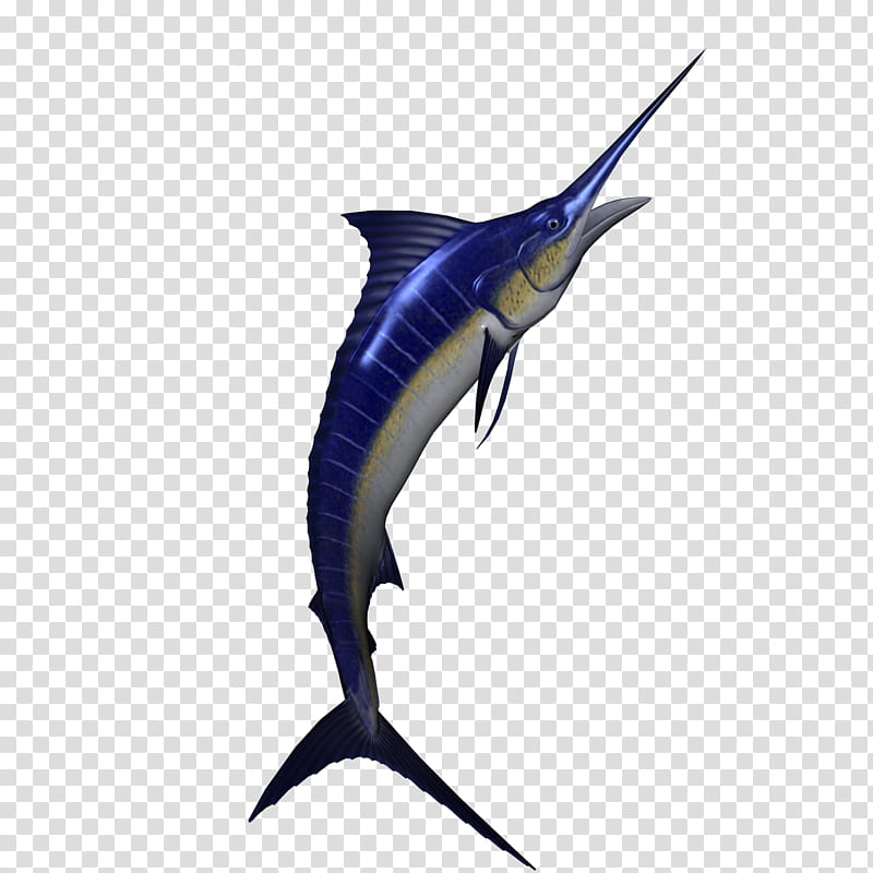 Marlin , blue and silver tuna transparent background PNG clipart