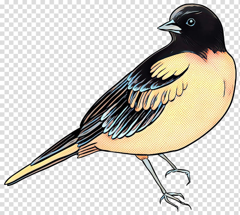 Bird Logo, Owl, Sparrow, Bird Flight, Drawing, Birds, Passerine, Beak transparent background PNG clipart