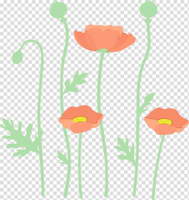 plant stem flower plant pedicel poppy family, Poppy Flower, Watercolor, Paint, Wet Ink, Wildflower, Coquelicot, Corn Poppy transparent background PNG clipart