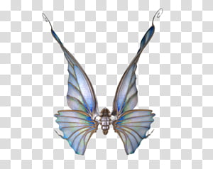 Wings Set 01 transparent background PNG clipart thumbnail