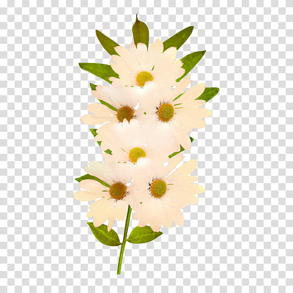 Bouquet Of Flowers Drawing, Common Daisy, Flower Bouquet, Digital Art, Petal, Wildflower, Decoupage, Rose transparent background PNG clipart