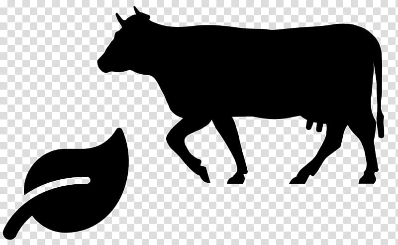 bovine cow-goat family bull silhouette line art, Cowgoat Family, Snout, Blackandwhite transparent background PNG clipart