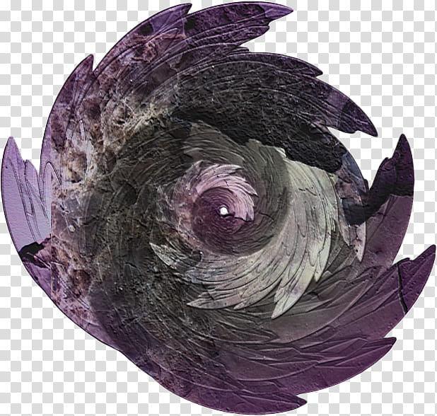 Circular shapes , purple and gray feathers transparent background PNG clipart