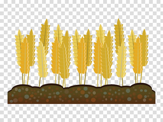 Wheat, Crop, Agriculture, Intensive Crop Farming, Harvest, Grain, Agriculturist, Yellow transparent background PNG clipart