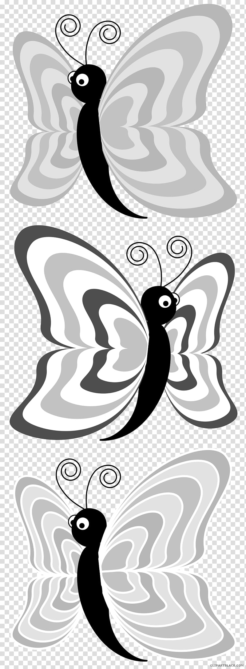 Butterfly Black And White, Cartoon, Drawing, Insect, Logo, Black And White
, Bird, Flightless Bird transparent background PNG clipart