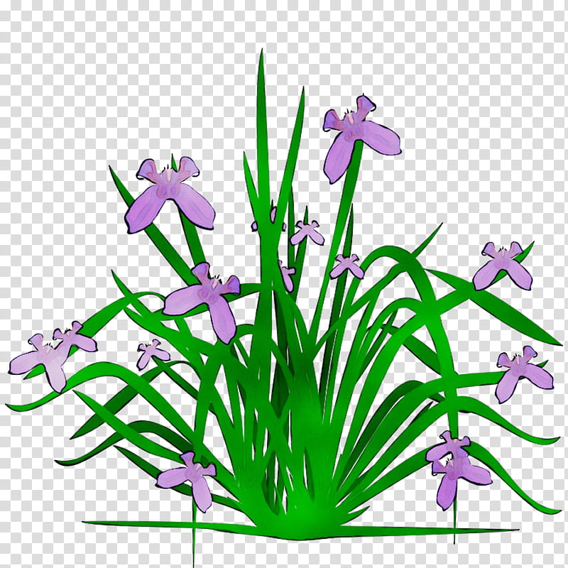 Flowers, Floral Design, Cut Flowers, Plant Stem, Purple, Plants, Violet, Flowerpot transparent background PNG clipart