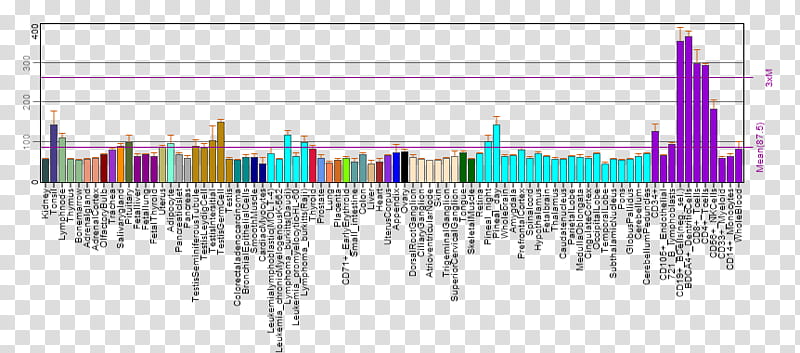 Person, Creative Commons, Human, Gene Expression, Deed, Gene Expression Profiling, Line transparent background PNG clipart