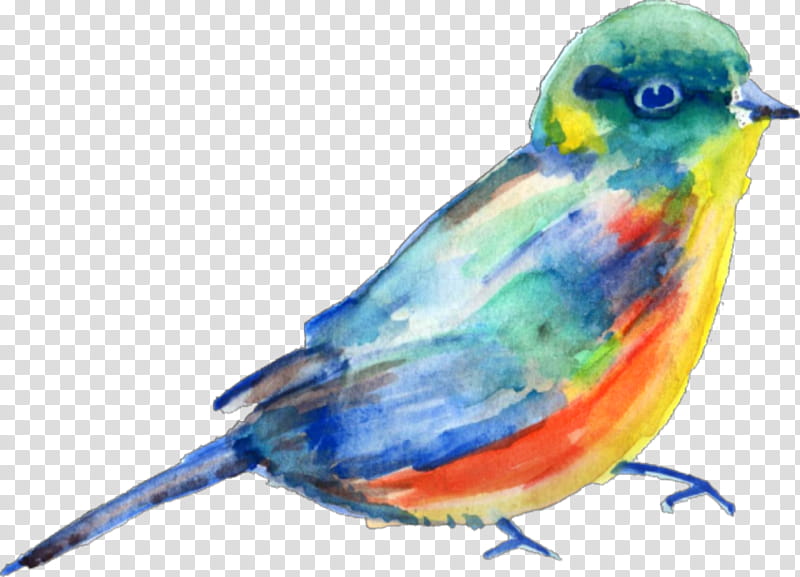 Watercolor, Watercolor Painting, Bird, Finches, Beak, Bluebirds, Parakeet, Sparrow transparent background PNG clipart