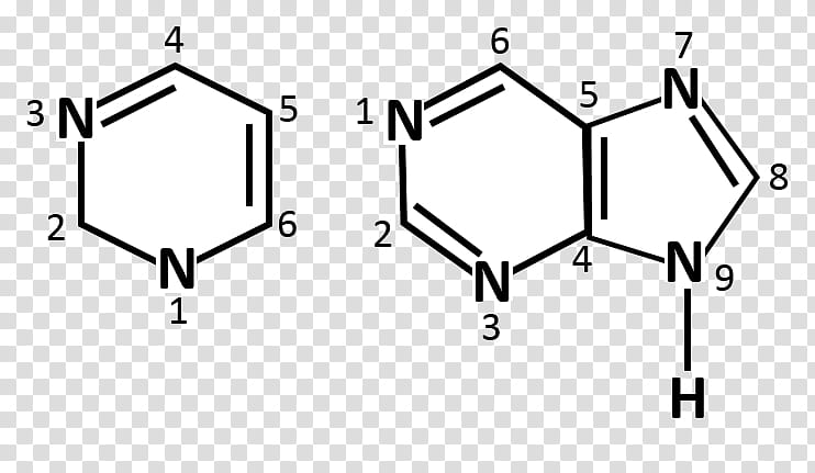 Chemistry, Molecule, Catechin, Chemical Formula, Skeletal Formula, Dichlorophen, Tosyl Azide, Number transparent background PNG clipart