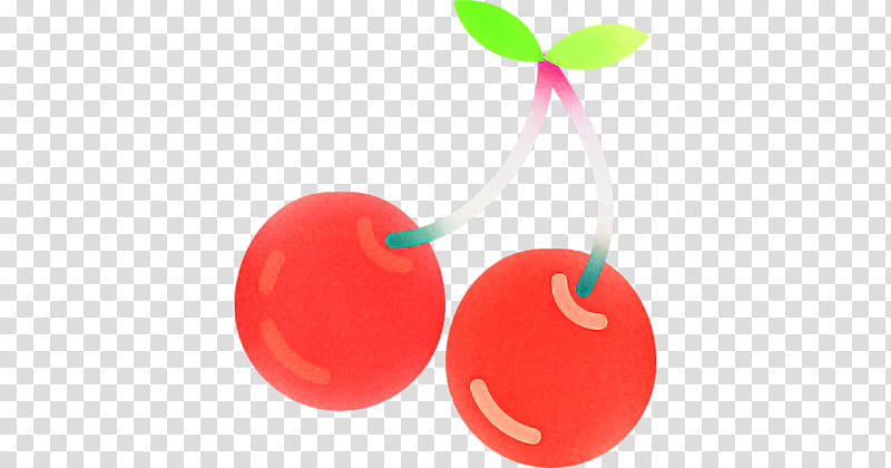 cherry red fruit plant drupe, Prunus transparent background PNG clipart