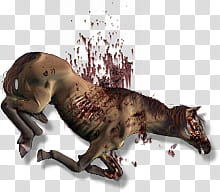 Dead Horse  transparent background PNG clipart