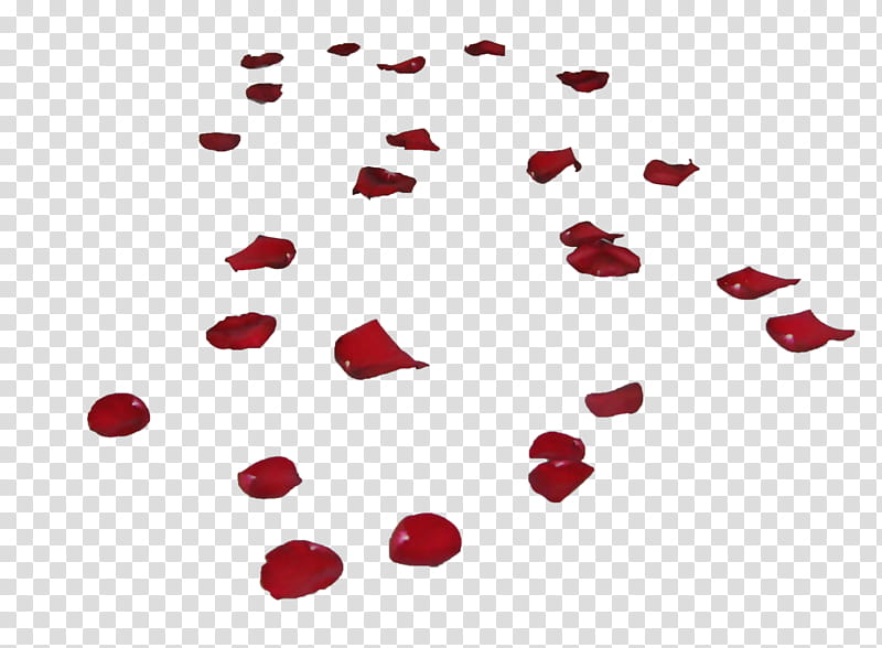 Red rose Petals III, red rose petaled transparent background PNG clipart