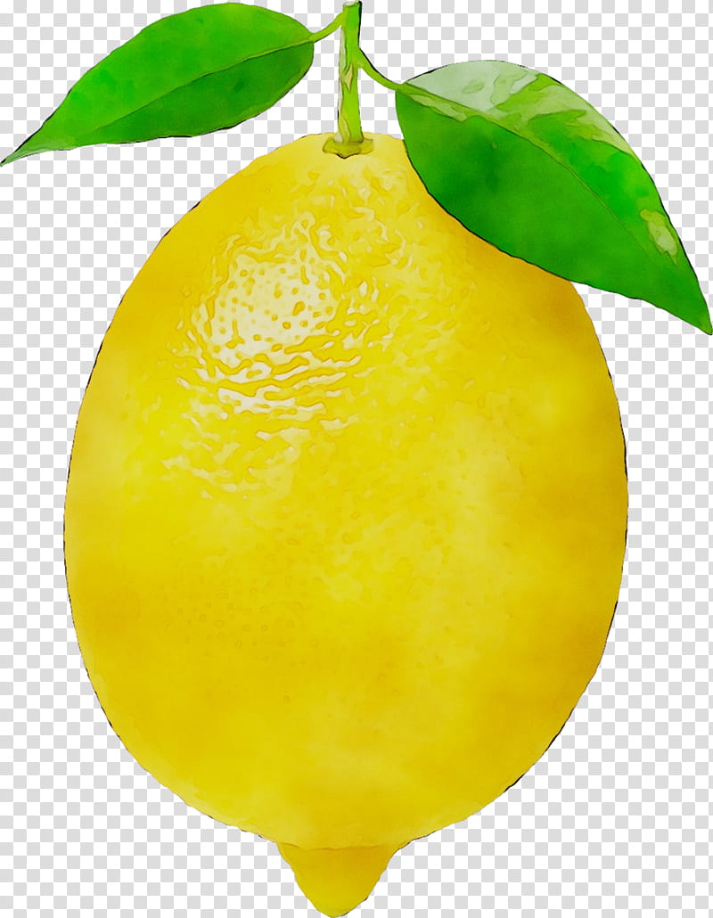 Lemon Tree, Citron, Sweet Lemon, Lime, Meyer Lemon, Persian Lime, Yellow, Citric Acid transparent background PNG clipart
