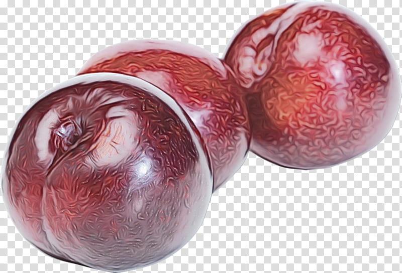 european plum fruit food plant superfood, Watercolor, Paint, Wet Ink, Garcinia Indica transparent background PNG clipart