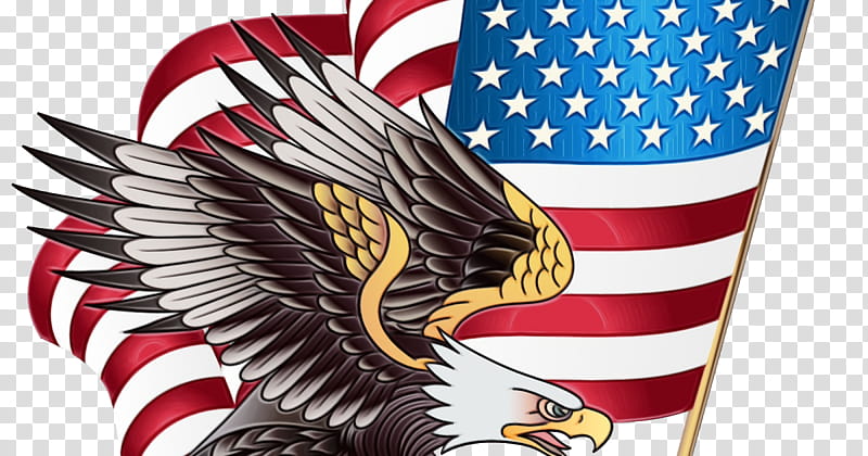 Veterans Day Celebration, 4th Of July , Happy 4th Of July, Independence Day, Fourth Of July, Bald Eagle, Flag Of The United States, American Eagle Outfitters transparent background PNG clipart