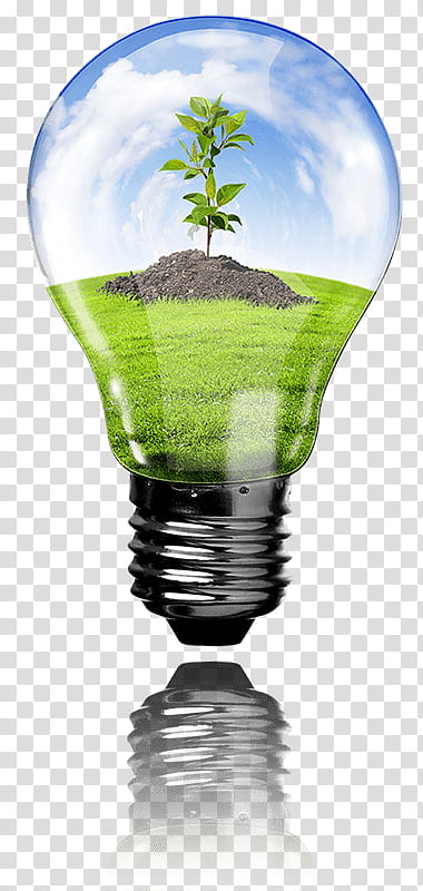 Light Bulb, Renewable Energy, Solar Panels, Solar Energy, Solar Power, Electricity, Incandescent Light Bulb, Renewable Resource transparent background PNG clipart