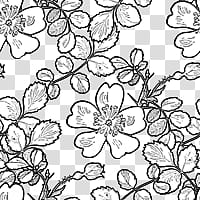 egg  Pat , white and black floral illustration transparent background PNG clipart