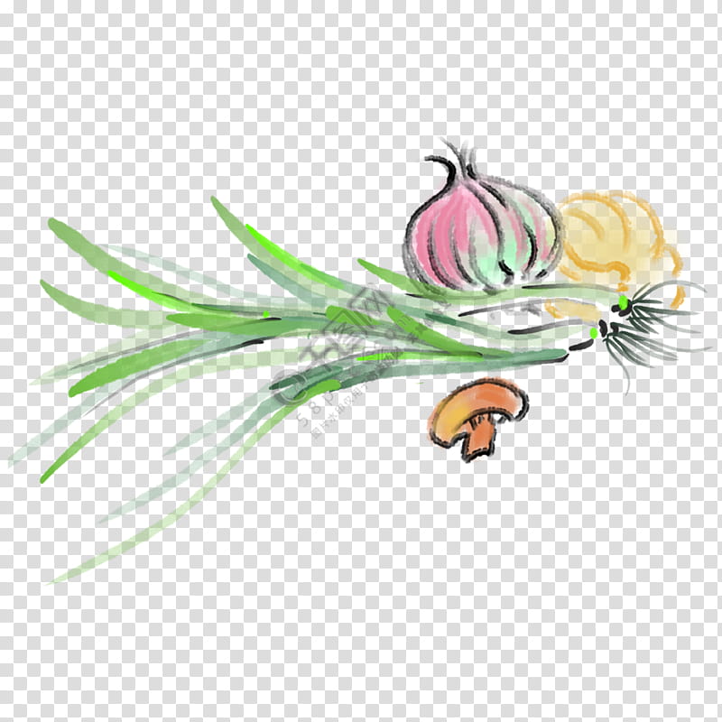 Red Flower, Onion, Vegetable, Red Onion, Garlic, Welsh Onion, Peppers, Food transparent background PNG clipart