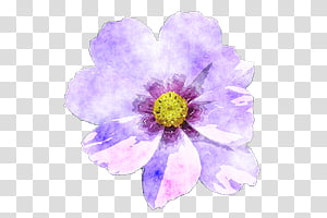 , 29 icon transparent background PNG clipart thumbnail