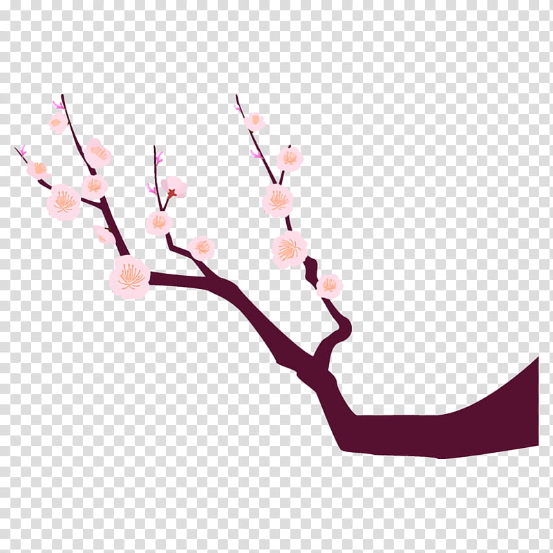 plum branch plum winter flower, Twig, Pink, Plant, Cherry Blossom, Tree, Plant Stem transparent background PNG clipart