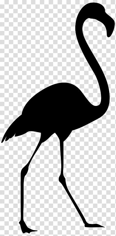 Flamingo Silhouette, Miami, Bird, Hotel, Party, Event Tickets, Water Bird, Swimming Pools transparent background PNG clipart