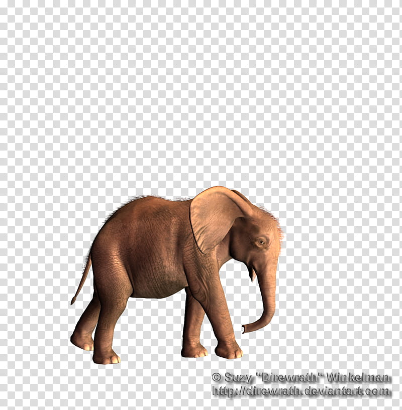 Elephant Calf, brown elephant art transparent background PNG clipart