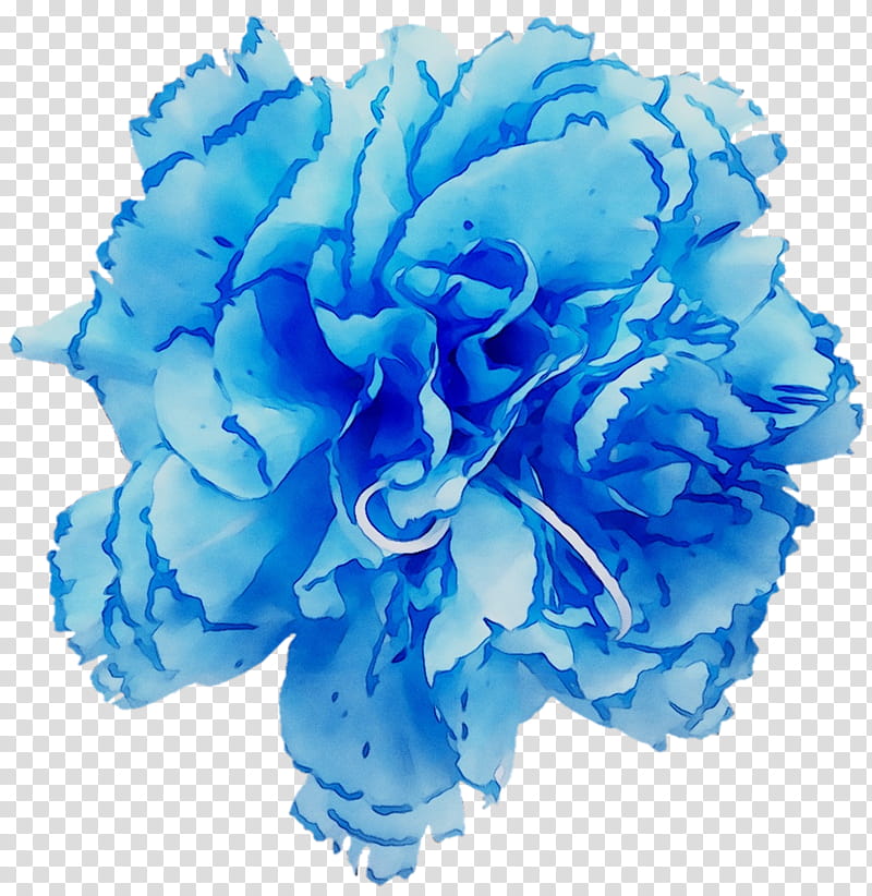 Pink Flowers, Garden Roses, Blue Rose, Cabbage Rose, Cut Flowers, Flower Bouquet, Carnation, Petal transparent background PNG clipart