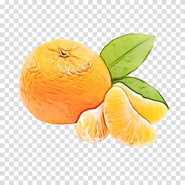 Lemon Juice, Orange Juice, Mandarin Orange, Tangerine, Satsuma Mandarin, Food, Fruit, Peel transparent background PNG clipart