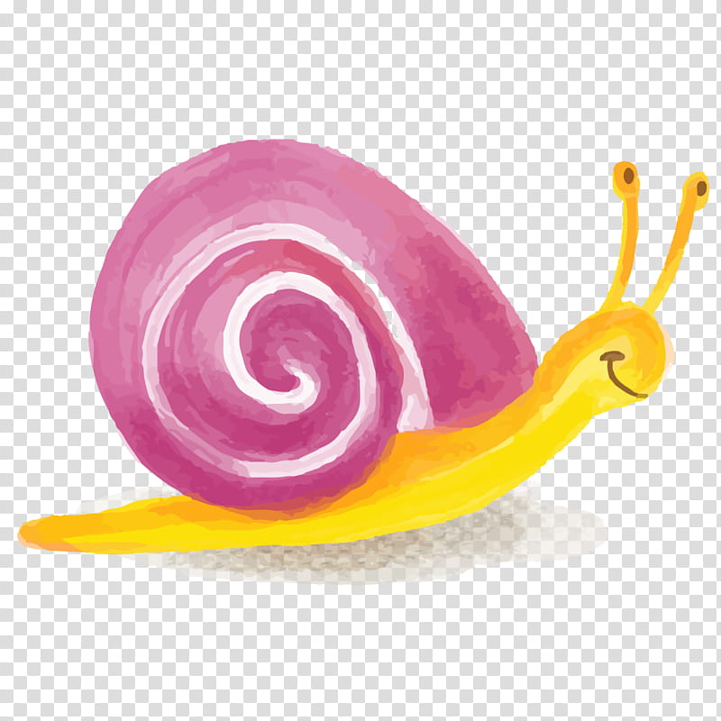 Snail, Cartoon, Drawing, Comics, Animation, Painting, Animal, Snails And Slugs transparent background PNG clipart