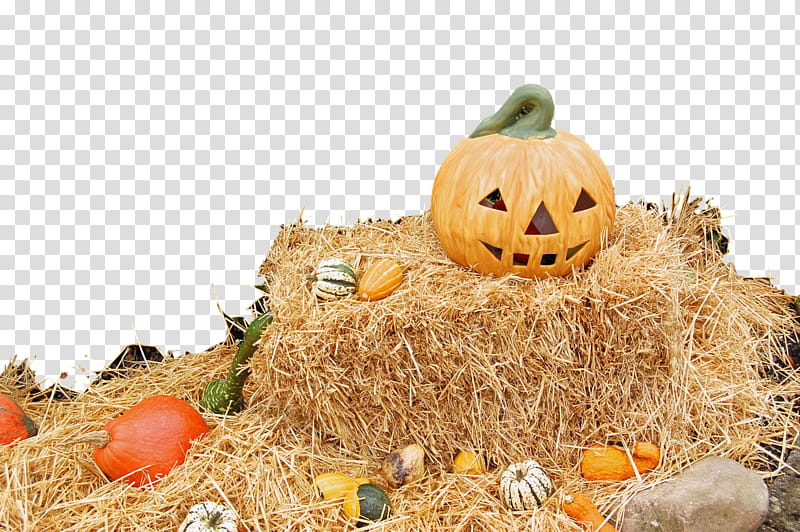 Pumpkin, Hay, Straw, Calabaza, Scarecrow, Plant, Vegetable, Vegetarian Food transparent background PNG clipart