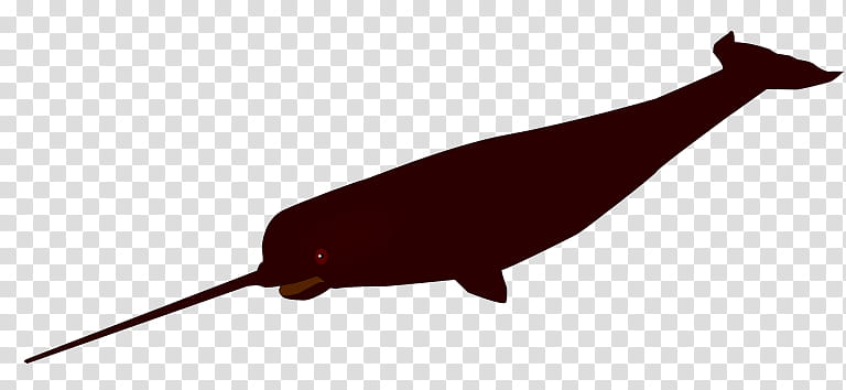 Natty Narwhal transparent background PNG clipart