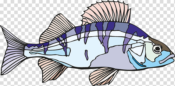 fish fish perch fish products, Bass, Fin, Bonyfish, Triggerfish transparent background PNG clipart