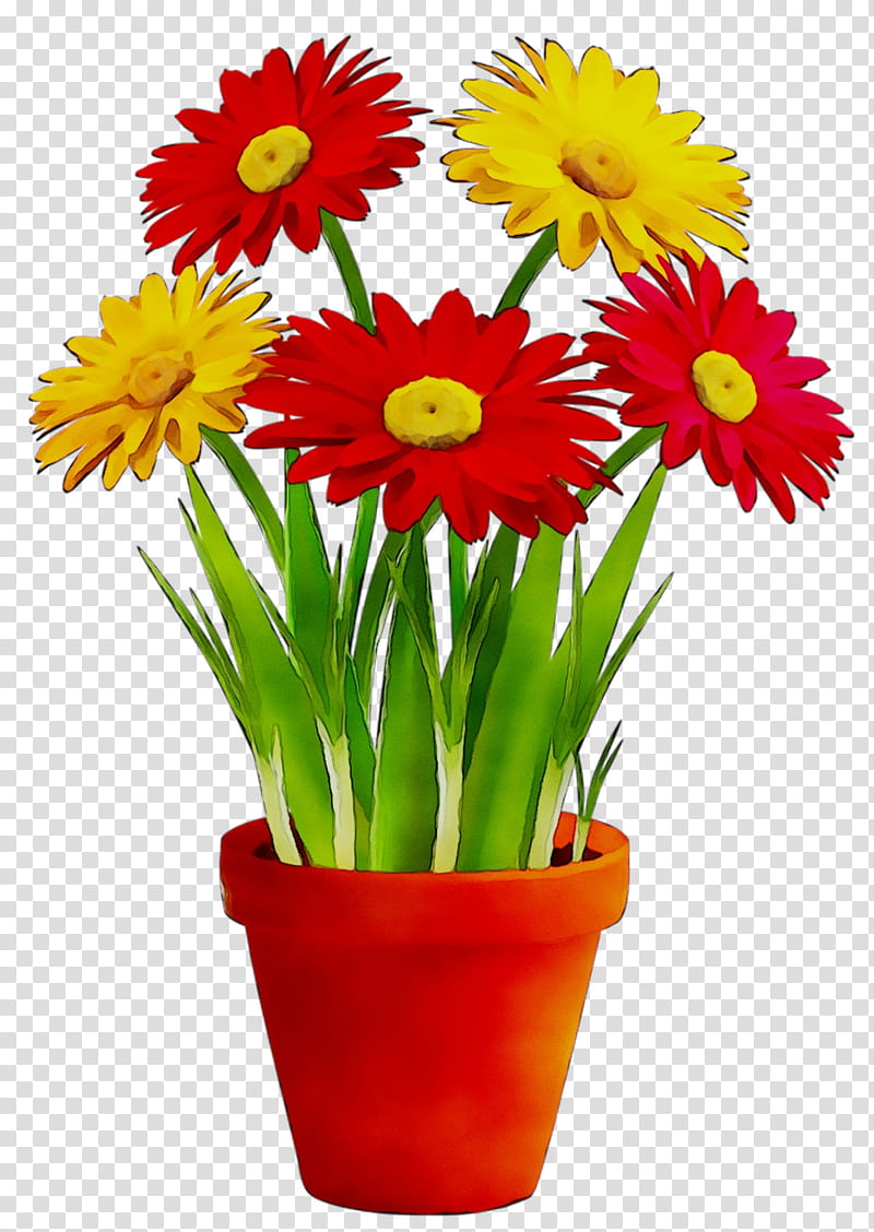 Garden Flowers, Flowerpot, Plants, Garden Cosmos, Annual Plant, Vase, Ornamental Plant, Herbaceous Plant transparent background PNG clipart