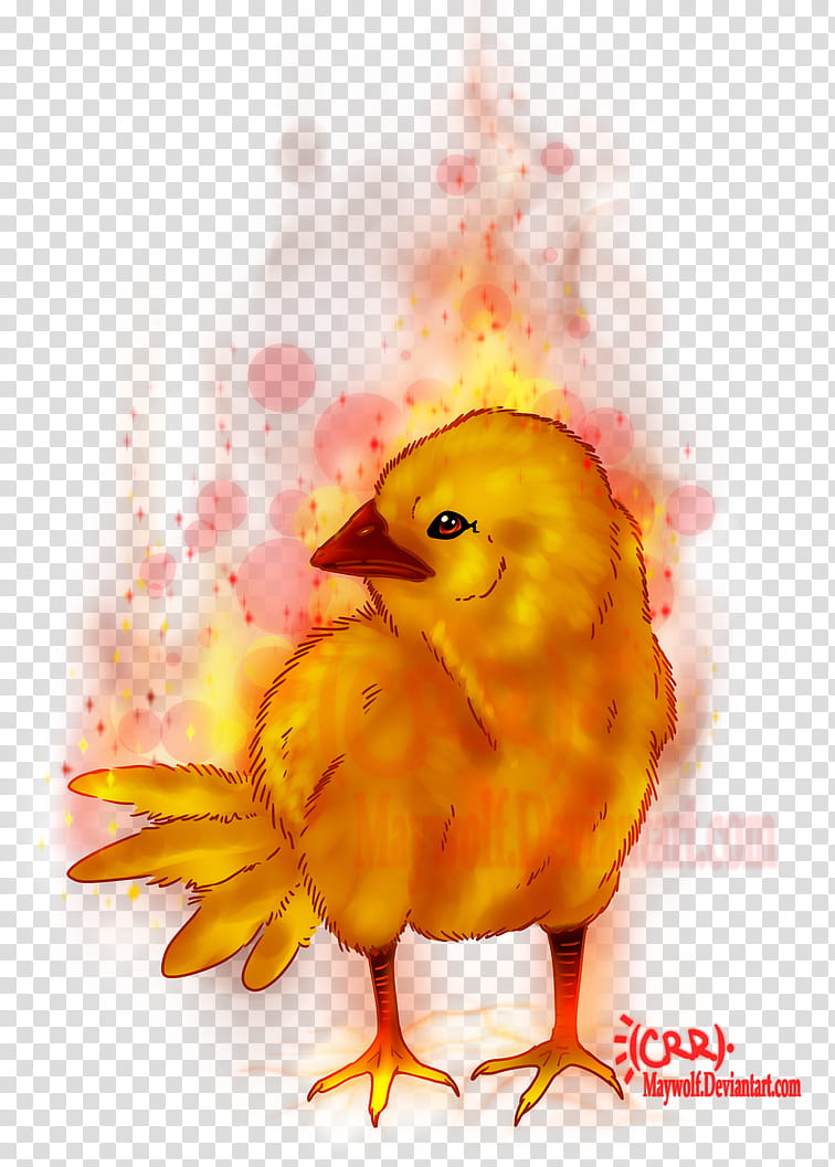 One Hot Chick transparent background PNG clipart