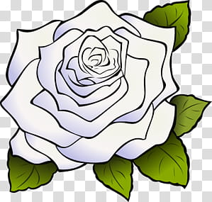 BTOB Feel eM, white rose illustration transparent background PNG clipart